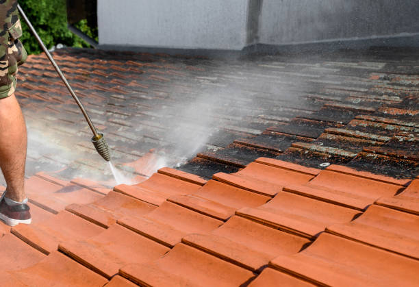 Best Deck Cleaning Services  in Woody, WA