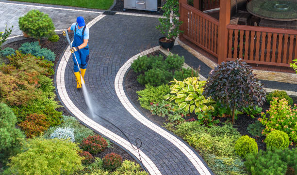 Best Exterior Home Cleaning  in Woody, WA